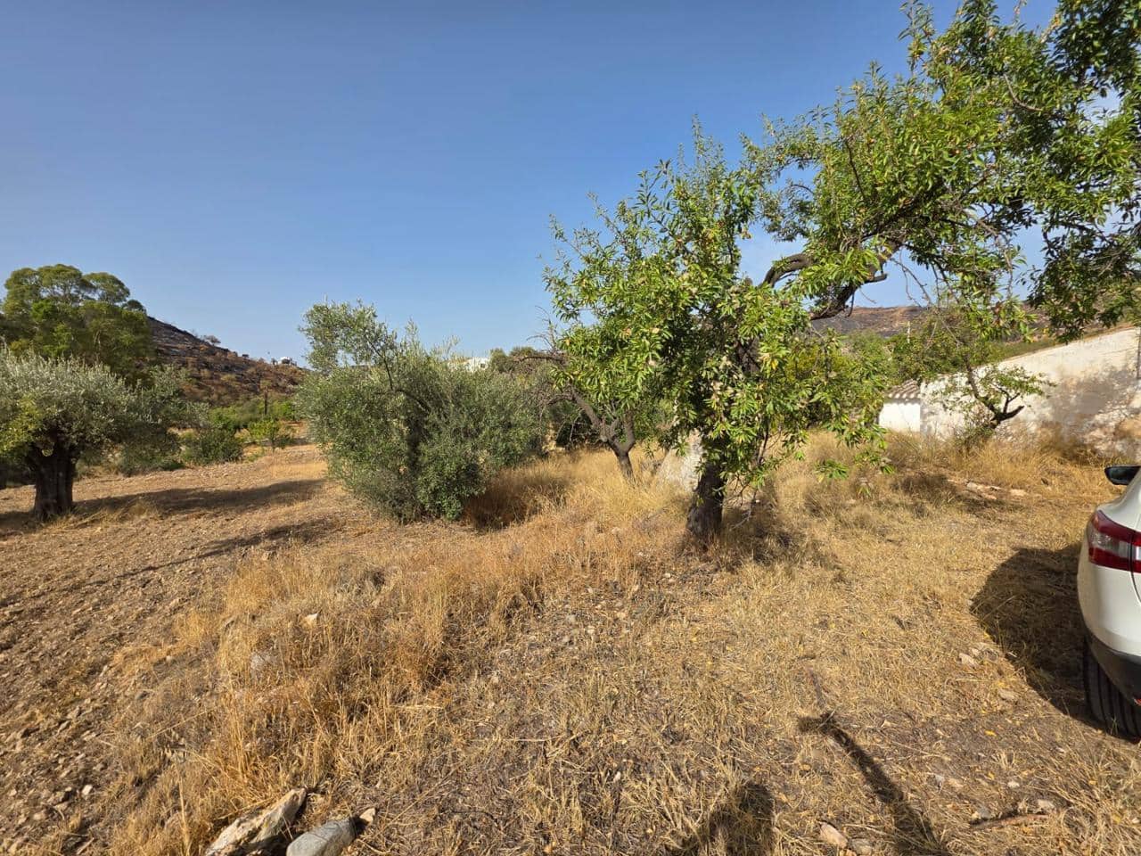 6 bedroom Finca/Country House for sale in Bedar - € 120,000 (Ref: 9273058)