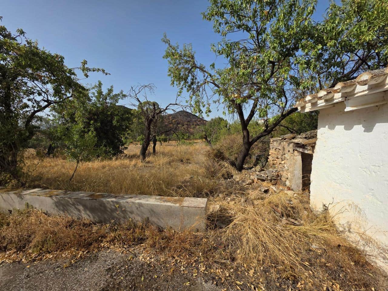 6 bedroom Finca/Country House for sale in Bedar - € 120,000 (Ref: 9273058)
