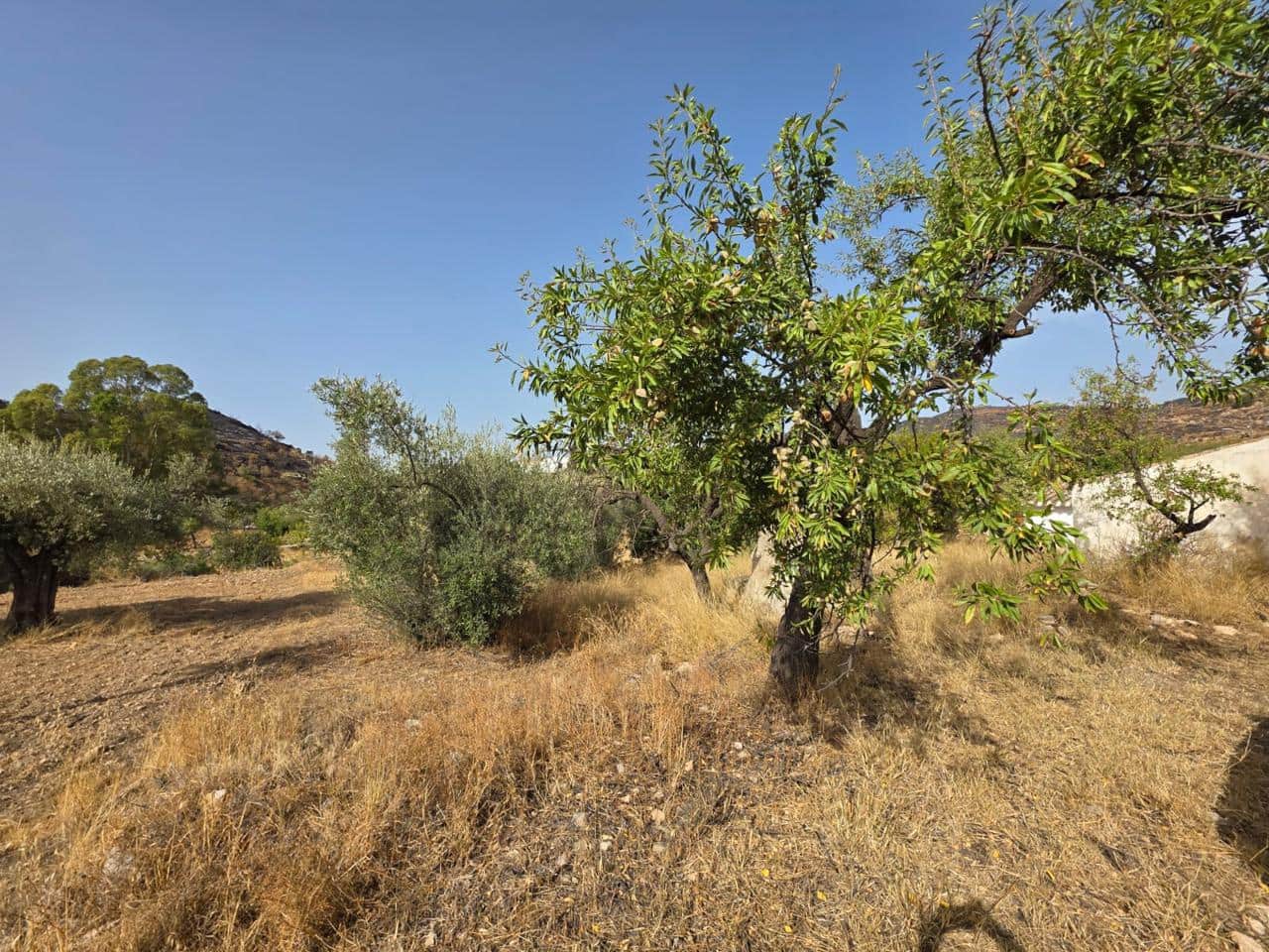 6 bedroom Finca/Country House for sale in Bedar - € 120,000 (Ref: 9273058)