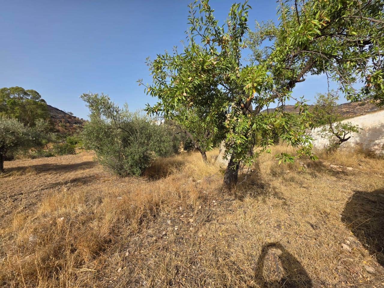 6 bedroom Finca/Country House for sale in Bedar - € 120,000 (Ref: 9273058)