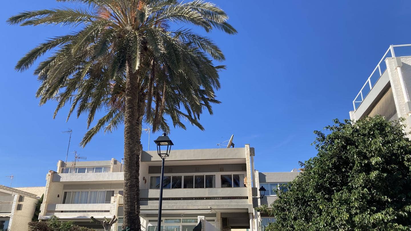 3 Zimmer Wohnung zu vermieten in Vera mit Pool - 1.050 € (Ref: 9399953)