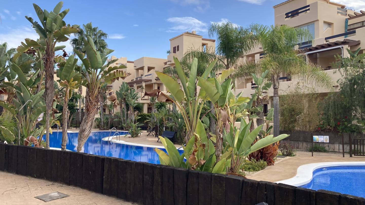 2 makuuhuone Asunto vuokrattavana paikassa Vera mukana uima-altaan 
autotalli - 750 € (Ref: 9525077)