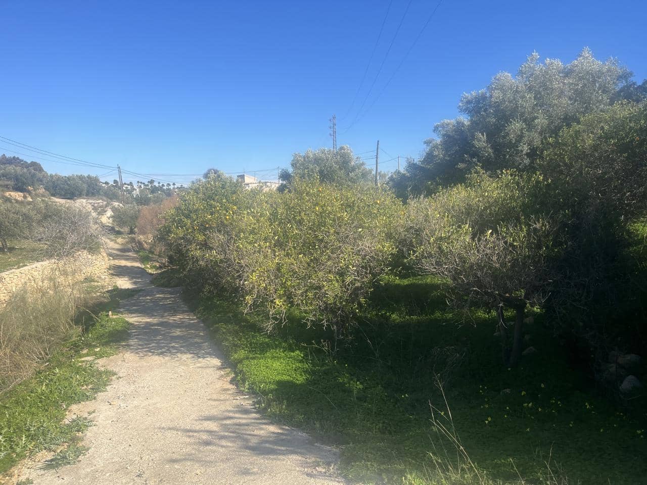 Teren niezagospodarowany na sprzedaż w Los Gallardos - 87 500 € (Ref: 9532818)