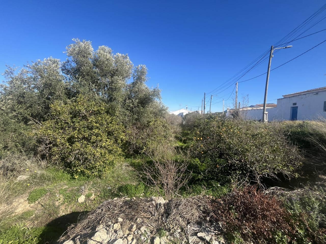 Teren niezagospodarowany na sprzedaż w Los Gallardos - 87 500 € (Ref: 9532818)