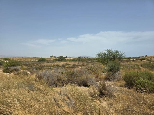 Mark till salu i Garrucha - 46 000 € (Ref: 9687611)