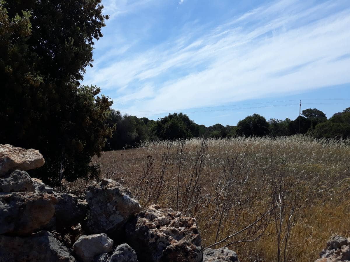 Grond te koop in Santanyi - € 375.000 (Ref: 6198828)