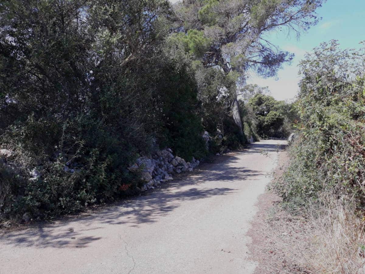 Grond te koop in Santanyi - € 375.000 (Ref: 6198828)