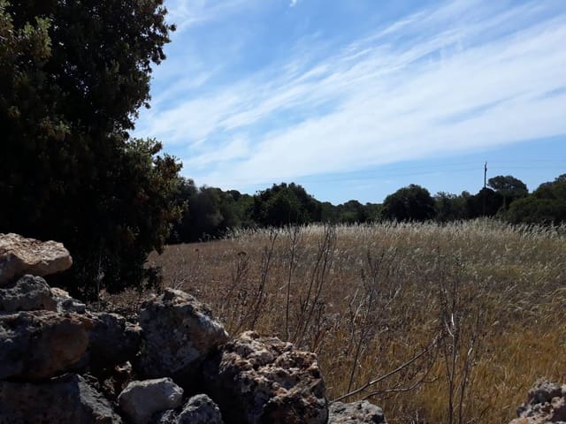 Teren niezagospodarowany na sprzedaż w Santanyí - 375 000 € (Ref: 6198828)