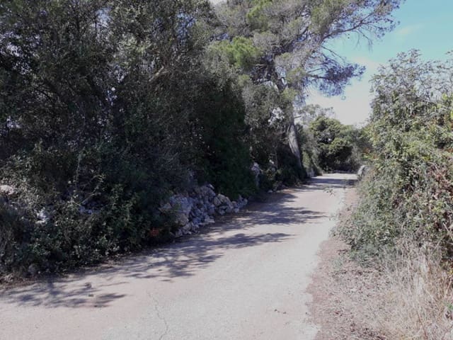 Teren niezagospodarowany na sprzedaż w Santanyí - 375 000 € (Ref: 6198828)