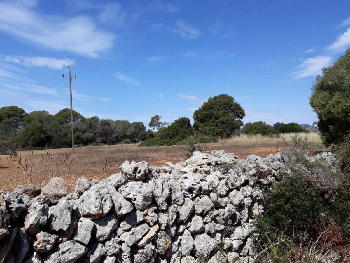 Grond te koop in Santanyi - € 375.000 (Ref: 6198828)