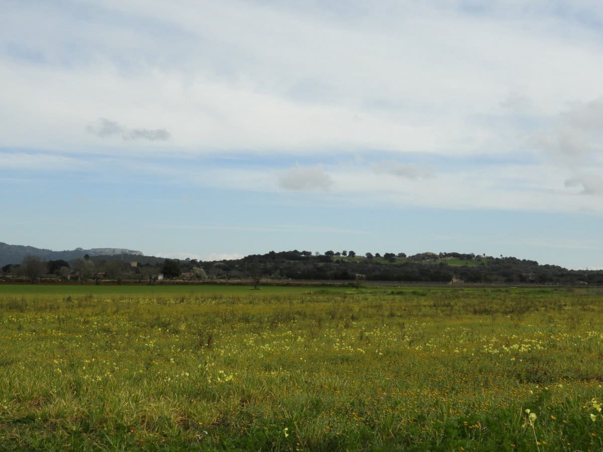 Terreno/Finca Rústica en Felanitx en venta - 130.000 € (Ref: 6198863)