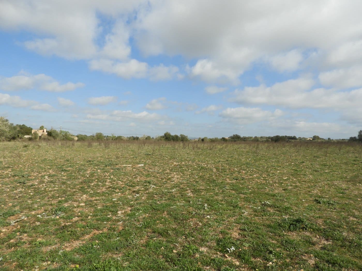 Undeveloped Land for sale in Manacor - € 268,000 (Ref: 6242521)