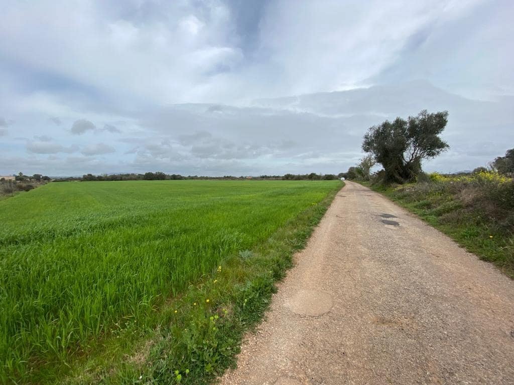 Ubebygd land til salgs i Felanitx - € 225 000 (Ref: 6524282)