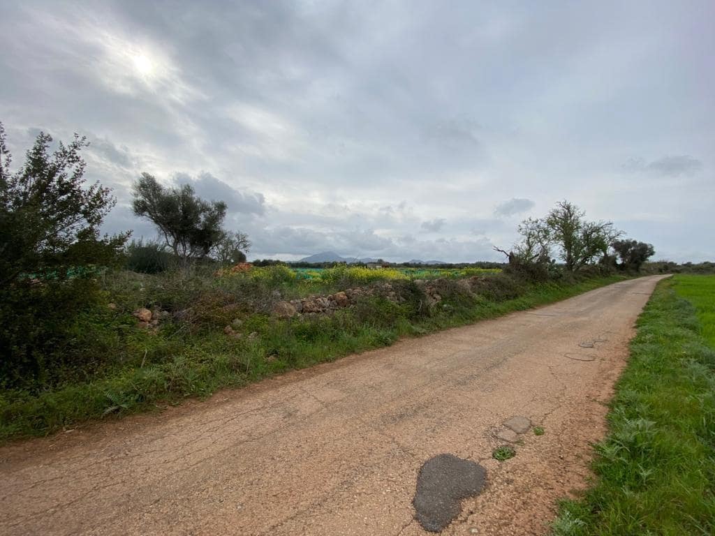 Ubebygd land til salgs i Felanitx - € 225 000 (Ref: 6524282)