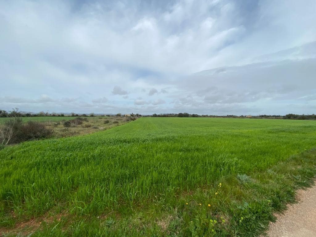 Ubebygd land til salgs i Felanitx - € 225 000 (Ref: 6524282)