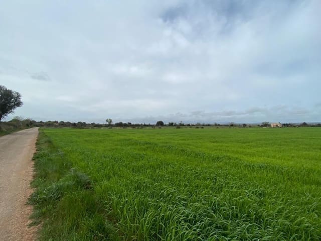 Terreno/Finca Rústica en Felanitx en venta - 225.000 € (Ref: 6524282)