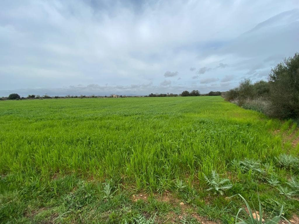 Ubebygd land til salgs i Felanitx - € 225 000 (Ref: 6524282)