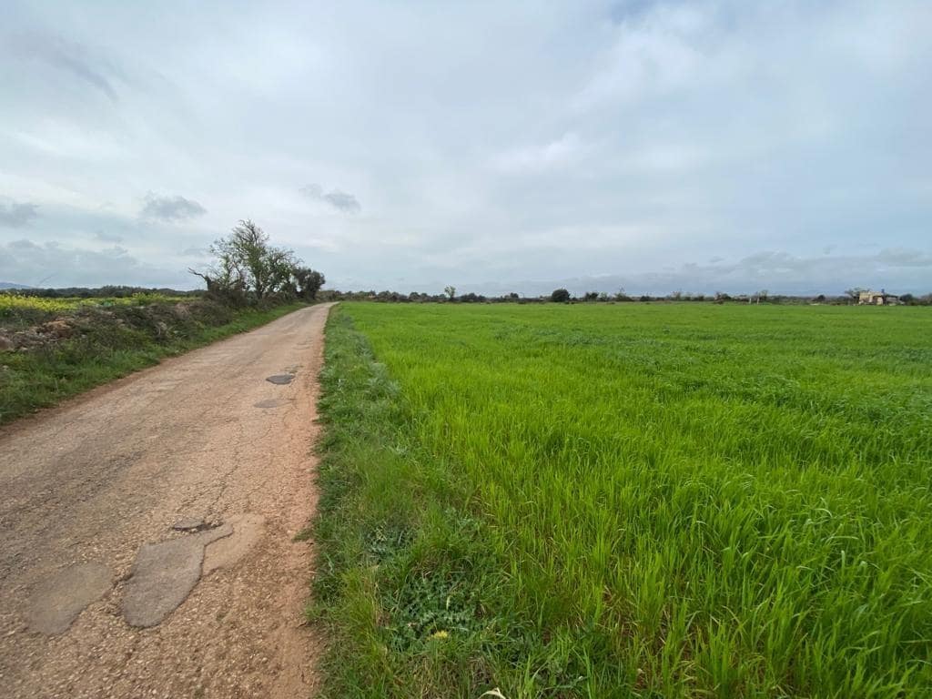 Ubebygd land til salgs i Felanitx - € 225 000 (Ref: 6524282)