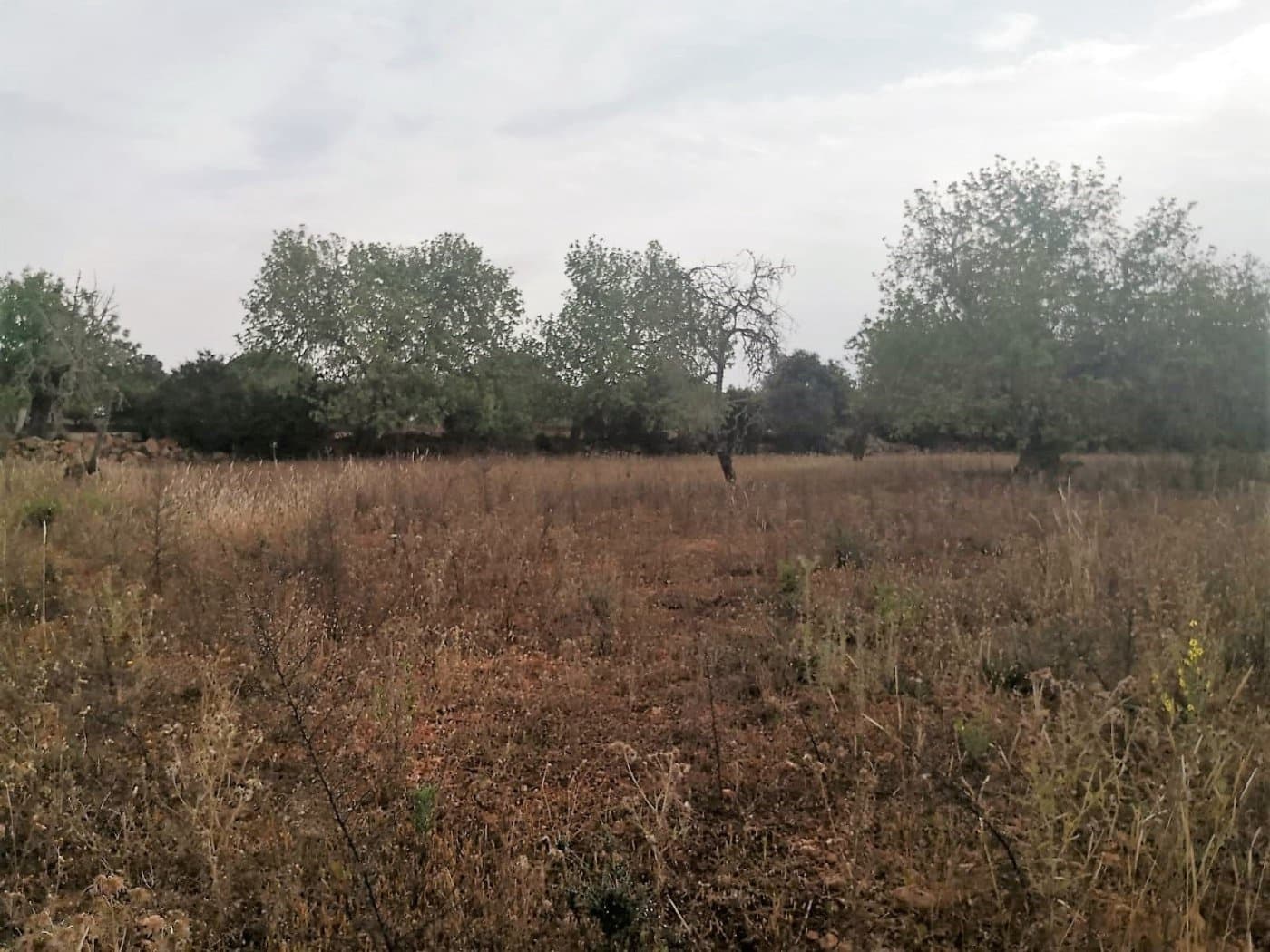 Finca/Casa di Campagna in vendita in Cas Concos - 450.000 € (Rif: 6902391)