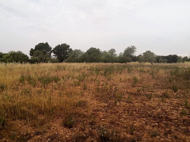 Finca/Casa di Campagna in vendita in Cas Concos, Felanitx - 450.000 € (Rif: 6902391)