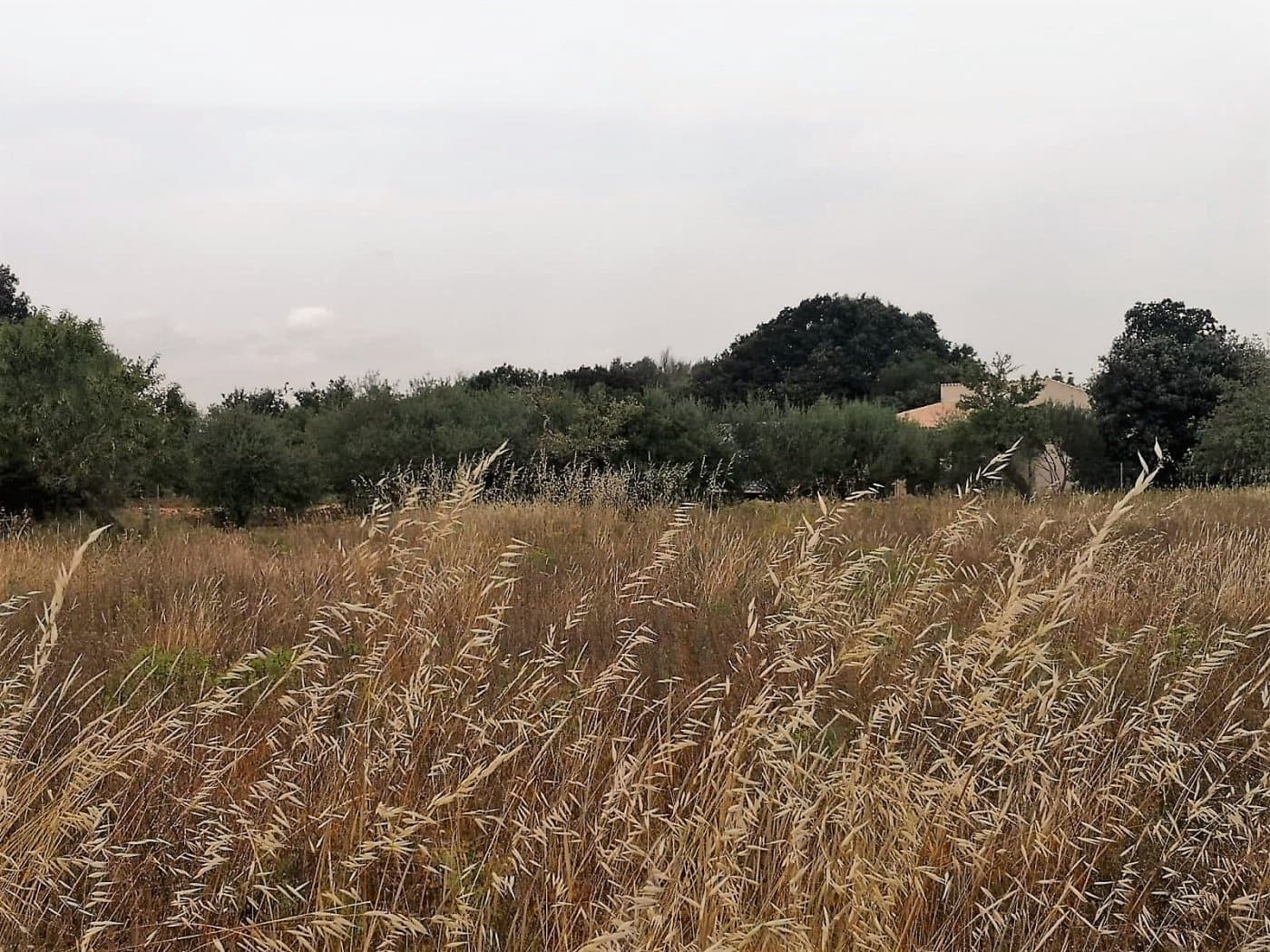 Finca/Casa di Campagna in vendita in Cas Concos - 450.000 € (Rif: 6902391)