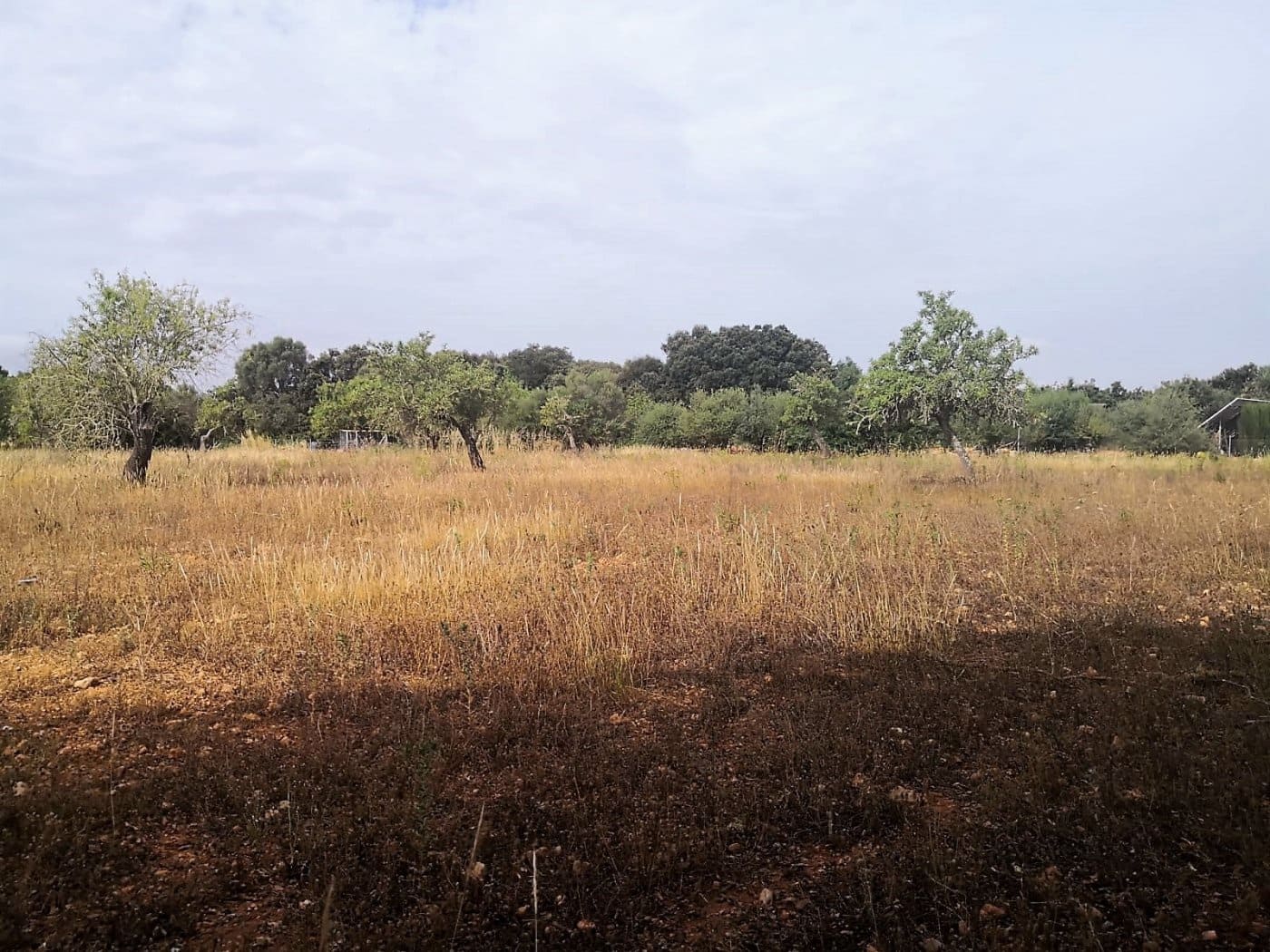 Finca/Casa di Campagna in vendita in Cas Concos - 450.000 € (Rif: 6902391)