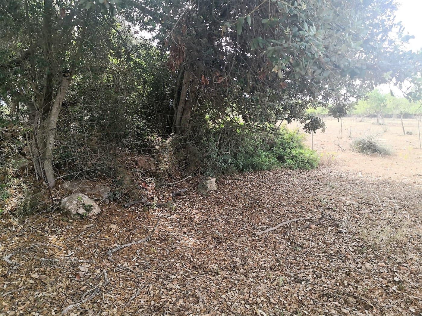 Finca/Casa di Campagna in vendita in Cas Concos - 450.000 € (Rif: 6902391)