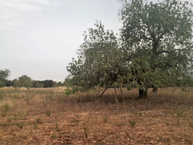 Finca/Casa di Campagna in vendita in Cas Concos, Felanitx - 450.000 € (Rif: 6902391)