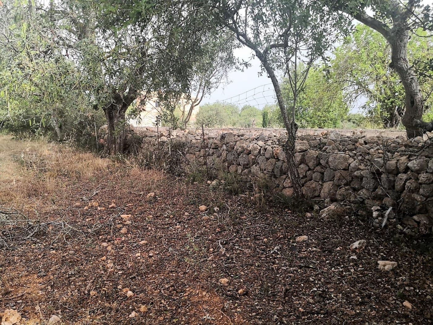 Finca/Casa di Campagna in vendita in Cas Concos - 450.000 € (Rif: 6902391)