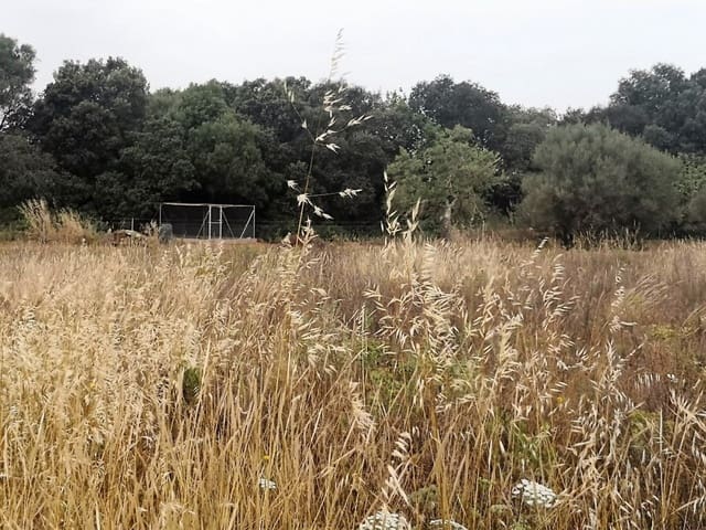 Finca/Casa di Campagna in vendita in Cas Concos, Felanitx - 450.000 € (Rif: 6902391)