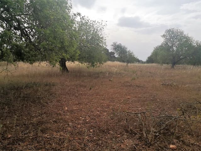 Finca/Casa di Campagna in vendita in Cas Concos, Felanitx - 450.000 € (Rif: 6902391)