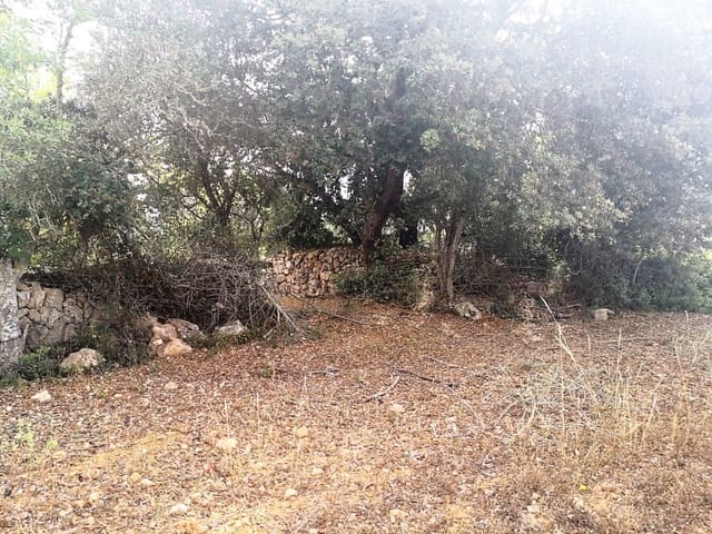 Finca/Casa di Campagna in vendita in Cas Concos, Felanitx - 450.000 € (Rif: 6902391)