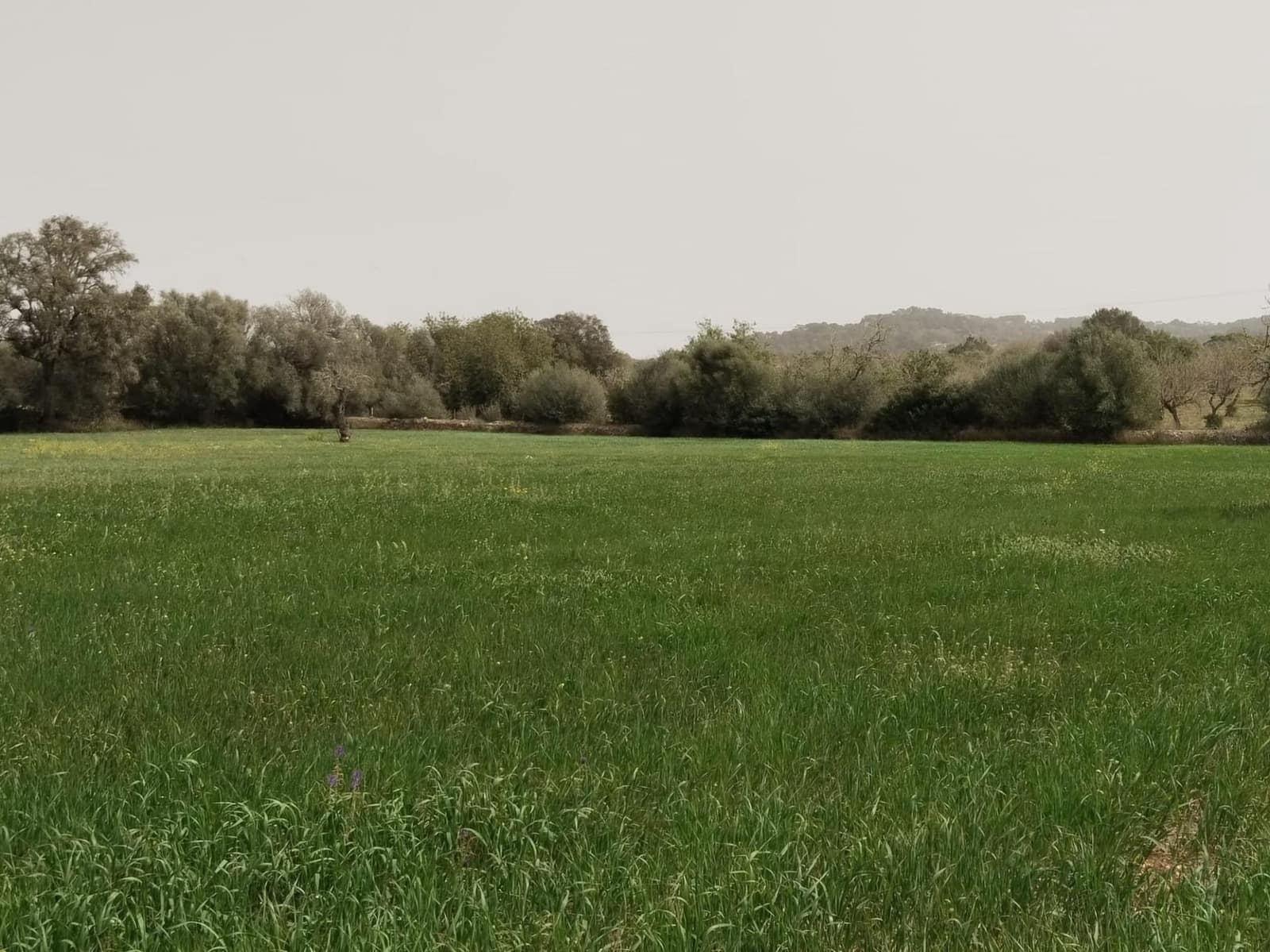 3 sovrum Villa till salu i Felanitx med garage - 530 000 € (Ref: 7109555)