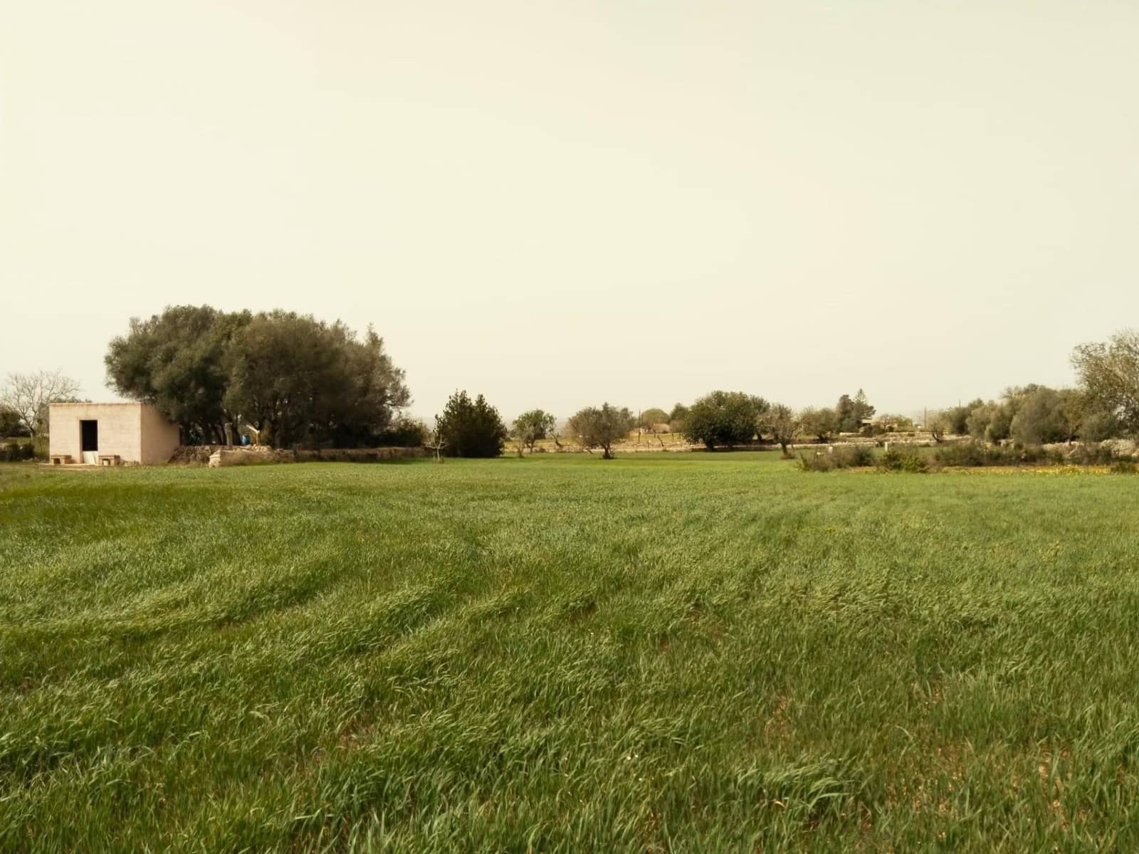 3 sovrum Villa till salu i Felanitx med garage - 530 000 € (Ref: 7109555)