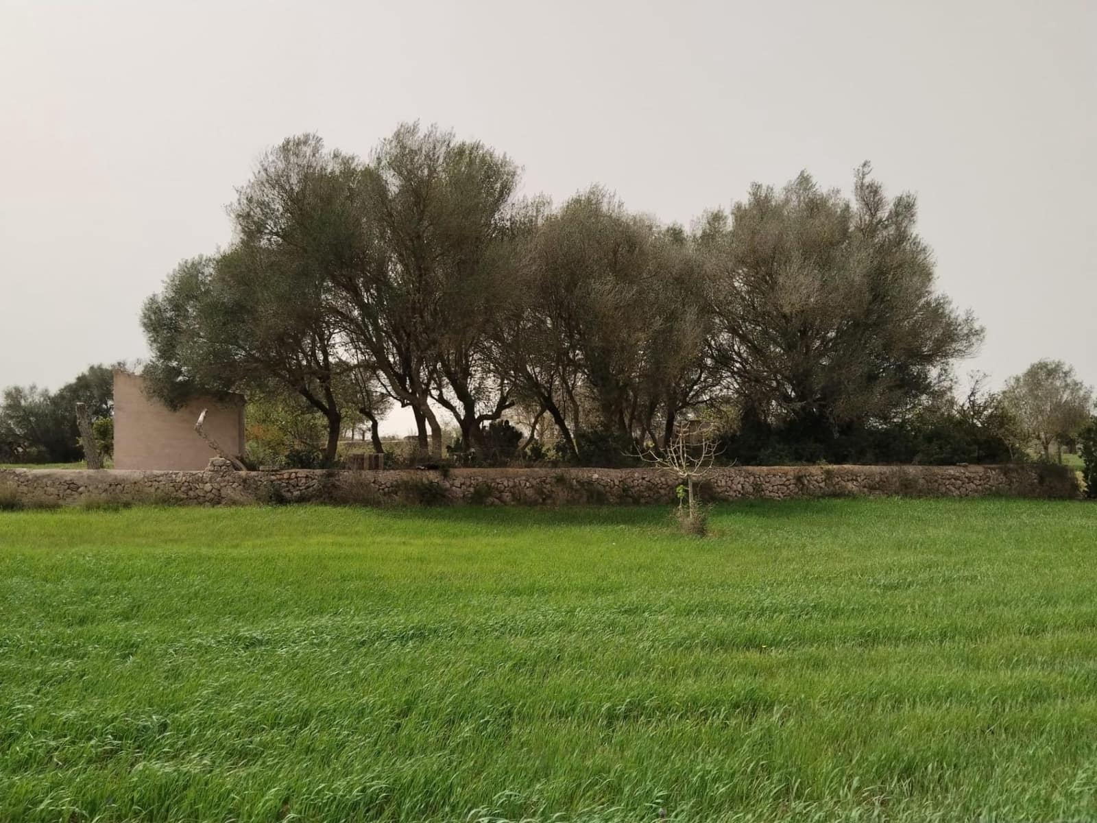 3 sovrum Villa till salu i Felanitx med garage - 530 000 € (Ref: 7109555)