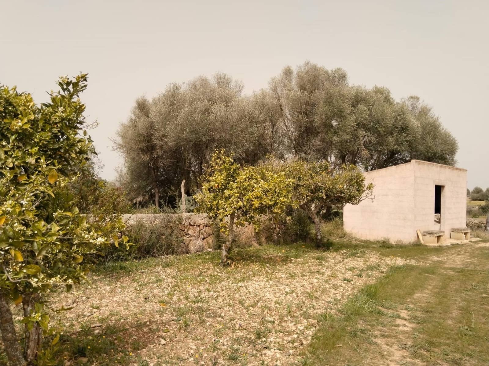 3 sovrum Villa till salu i Felanitx med garage - 530 000 € (Ref: 7109555)