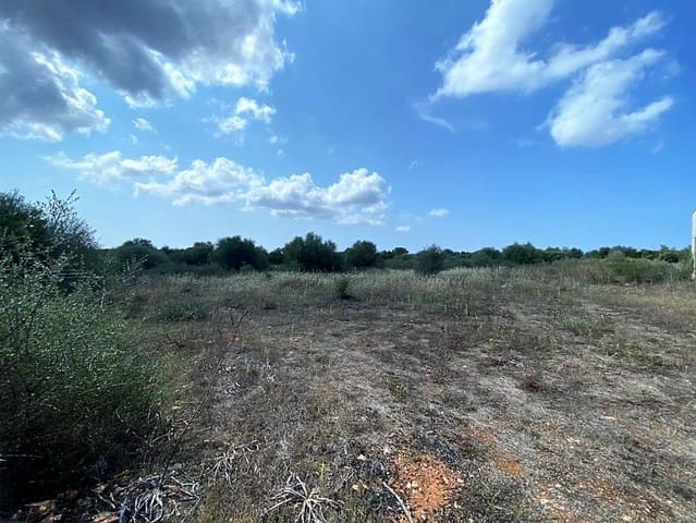 Rakentamaton maa myytävänä paikassa Campos - 400 000 € (Ref: 7734617)