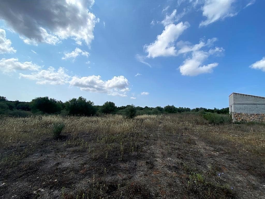 Rakentamaton maa myytävänä paikassa Campos - 400 000 € (Ref: 7734617)