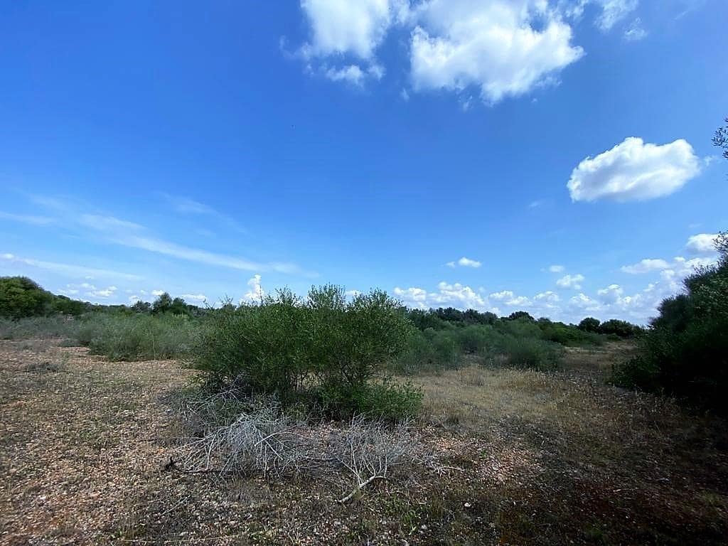 Rakentamaton maa myytävänä paikassa Campos - 400 000 € (Ref: 7734617)