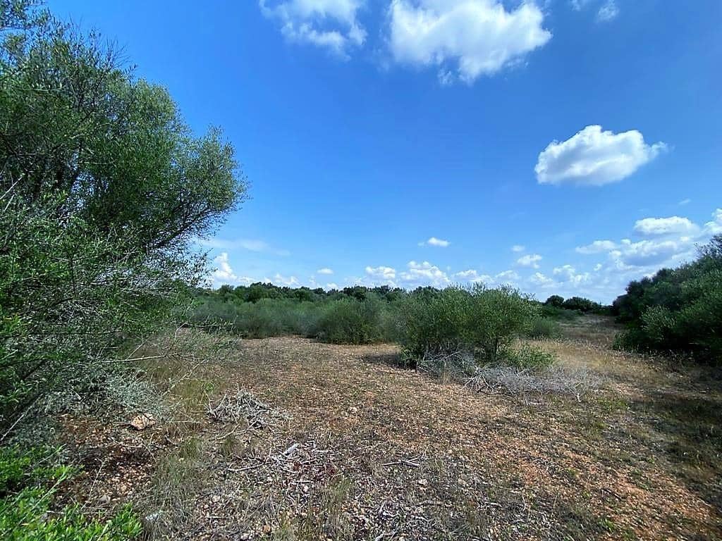 Rakentamaton maa myytävänä paikassa Campos - 400 000 € (Ref: 7734617)