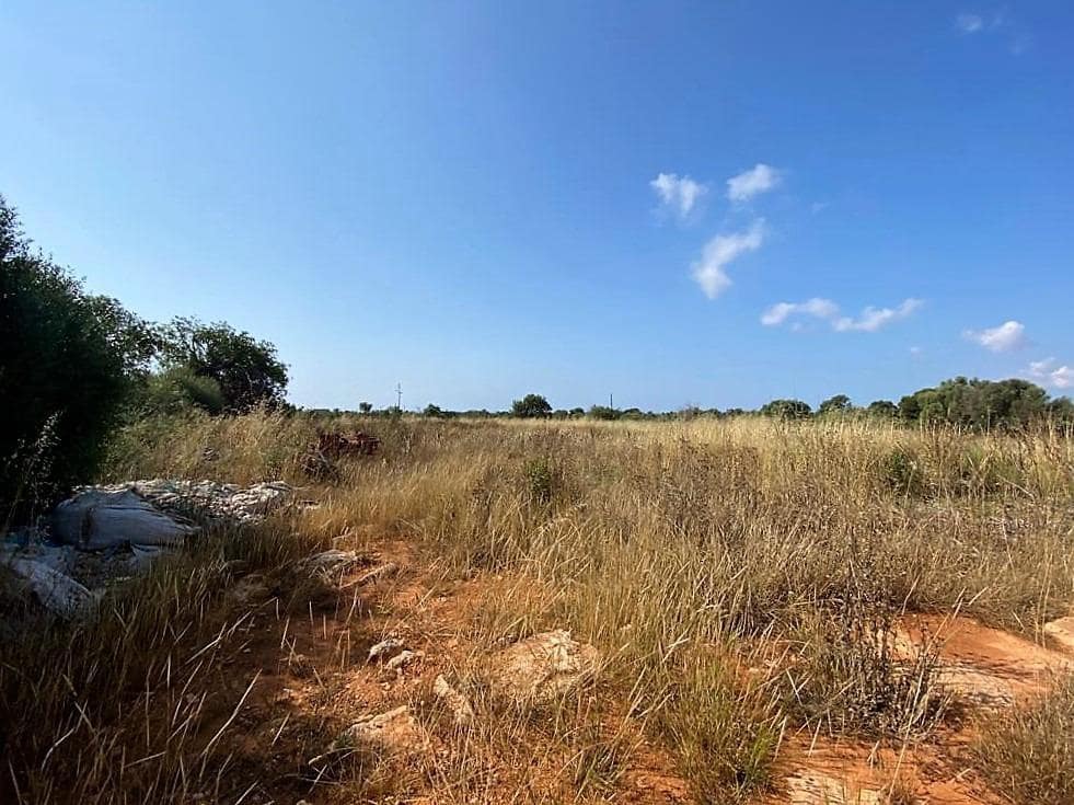 Rakentamaton maa myytävänä paikassa Campos - 400 000 € (Ref: 7734617)