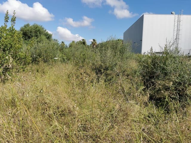 Rakentamaton maa myytävänä paikassa Campos - 480 000 € (Ref: 7734618)