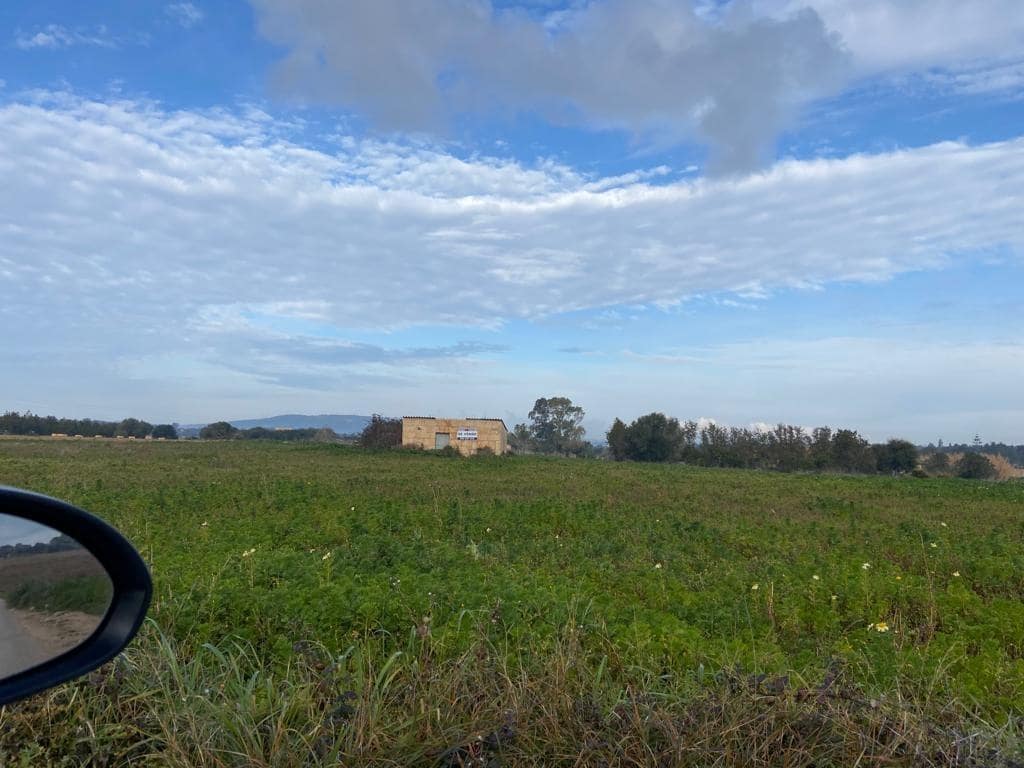 Mark till salu i Manacor - 200 000 € (Ref: 7825480)