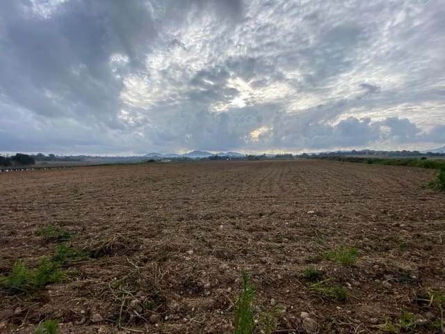 Rakentamaton maa myytävänä paikassa Manacor - 200 000 € (Ref: 7825480)