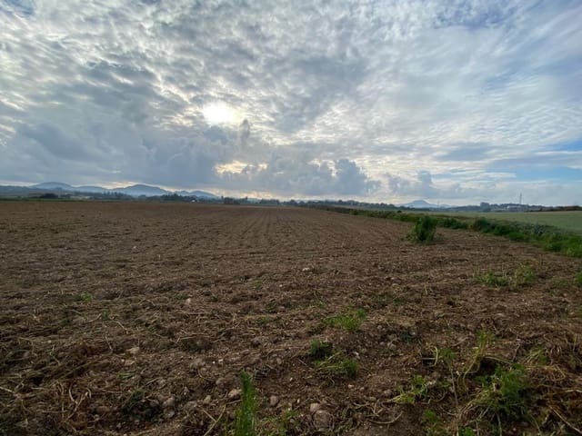 Rakentamaton maa myytävänä paikassa Manacor - 200 000 € (Ref: 7825480)