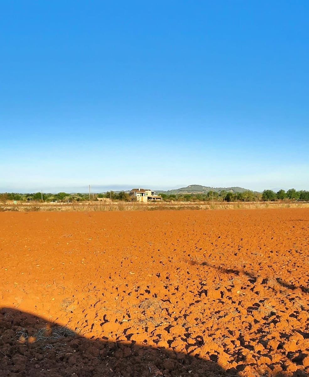 Grond te koop in Felanitx - € 160.000 (Ref: 8313815)