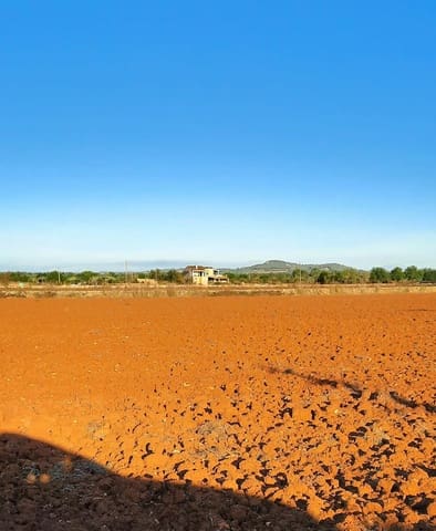 Terreno Não Urbanizado para venda em Felanitx - 160 000 € (Ref: 8313815)