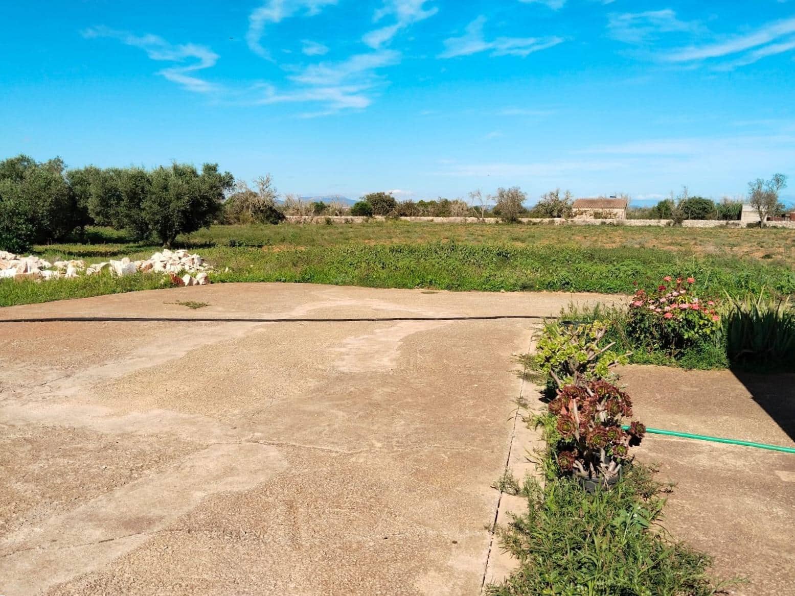 2 sypialnia Finka/Dom wiejski na sprzedaż w Felanitx - 345 000 € (Ref: 8538962)