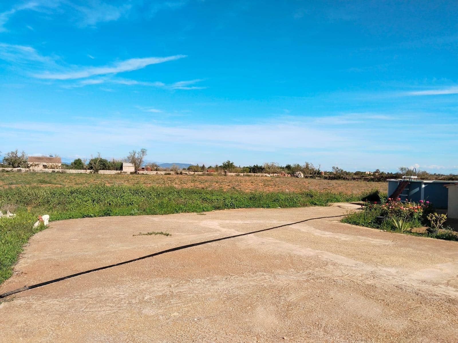 2 sypialnia Finka/Dom wiejski na sprzedaż w Felanitx - 345 000 € (Ref: 8538962)