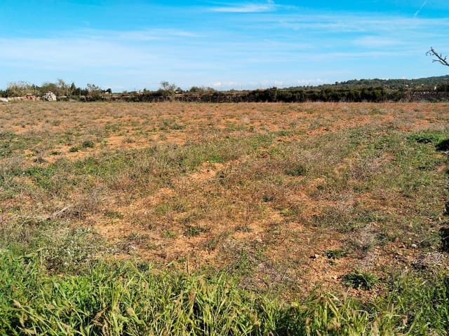 2 sypialnia Finka/Dom wiejski na sprzedaż w Felanitx - 345 000 € (Ref: 8538962)